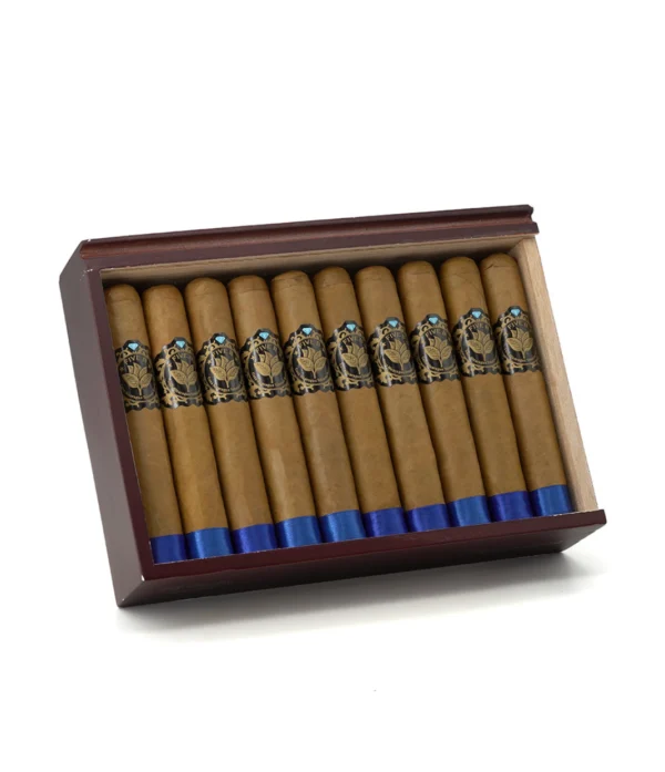 Casa Nicaragua Five B Gordo Cigar - Image 5