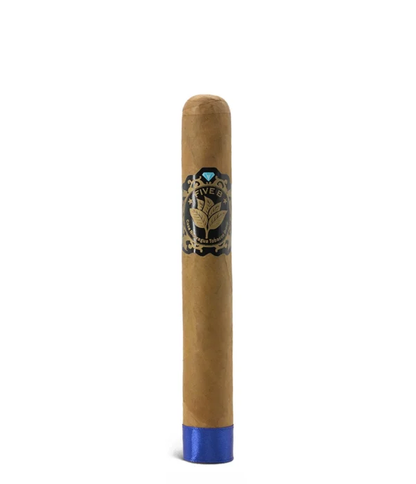 Casa Nicaragua Five B Sublime Cigar
