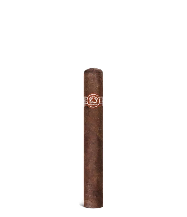 Padron Series 3000 Maduro Cigar